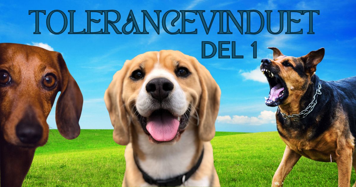 Tolerancevinduet (del 1)