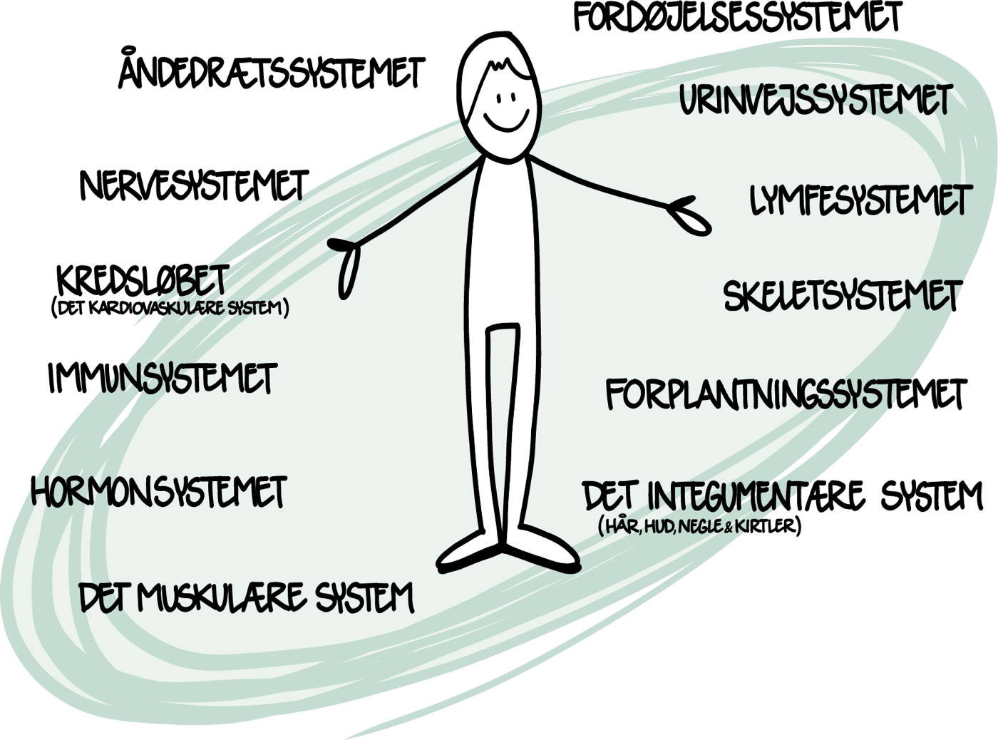 Kroppens tolv systemer – illustration fra bogen